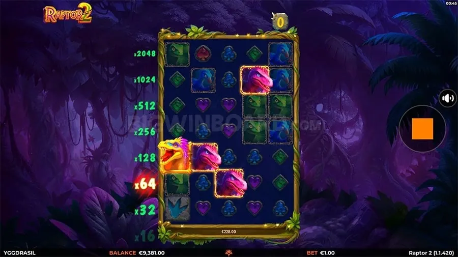 Special Sports Betting Promotion
